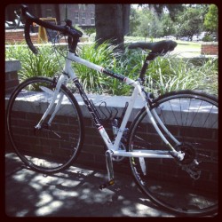 Great day for a hot dog and biking around campus (Taken with