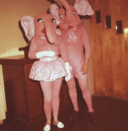 madame-ass:  pink elephants on parade…here they come…hippity