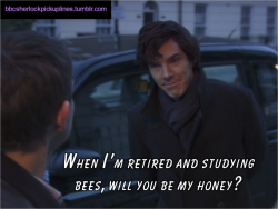 &ldquo;When I&rsquo;m retired and studying bees, will you be my honey?&rdquo;