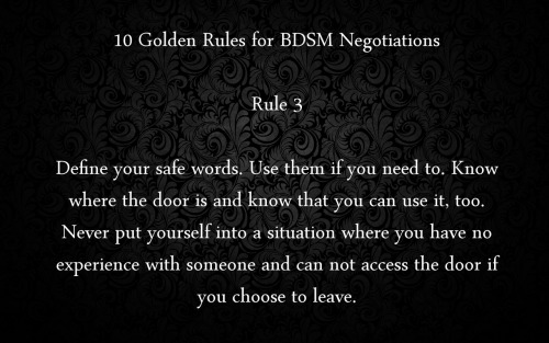 historyofbdsm:  yourpetmeowmeow:  fangskitten:  plector:  10 Golden Rules for BDSM Negotiations  I. Love. This.  Worth reblogging.  Note that in Fifty Shades of Grey, Ana or Christian breaks every single one of these rules.  Every one into bdsm should