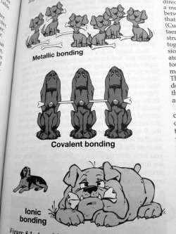 sciencehasmyheart:  This is my favorite textbook picture. Mineralogy