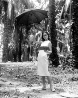 ablogwithaview:   Leo Fuchs, Audrey Hepburn, 1958  How have I