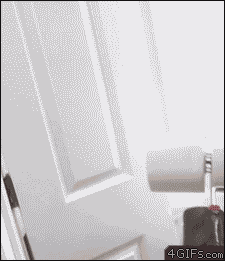 flylikepaper420:  haha good ol’ toilet paper on the paint roller,