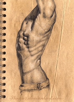 100artistsbook:  Male Anatomy Drawing, rapidograph (technical