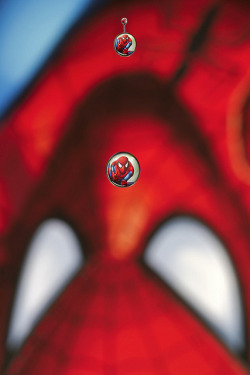 myampgoesto11:  Spiderman water droplet photography by Corrie