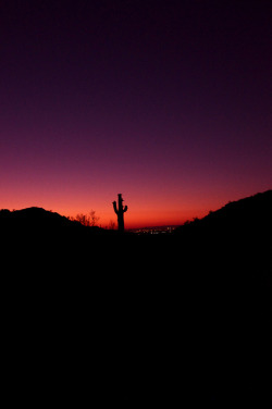 spectral-ozone:  Pink Sunset on Flickr. 