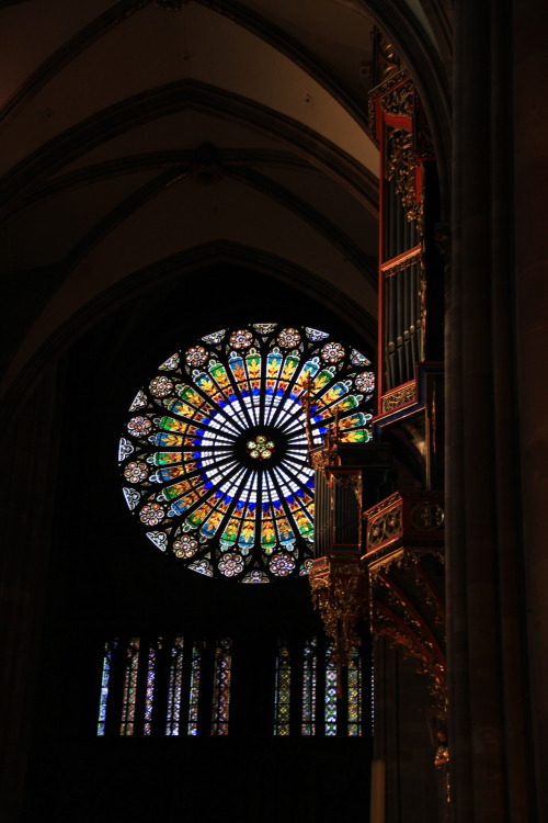 jonathasmello:  Vitral e órgão da catedral de Strasbourg