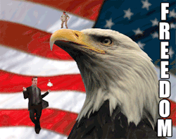 chandler-dances-on-things:  Chandler dances on FREEDOM 