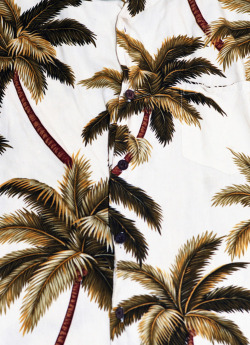 ladymermaidia:  palm tree