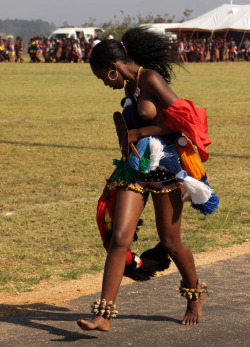 ourafrica:  pentastarinthestyleofdemons:  Umhlanga /Reed dancer,