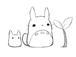 babsbarbara:  Totoro 