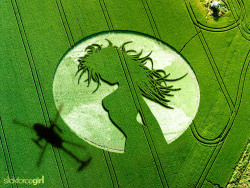 http://nicksaglimbeni.com/2012/07/02/slickforcegirl-crop-circle-sighting/