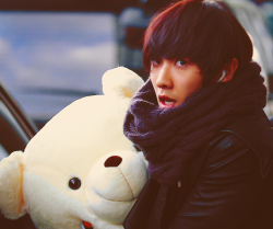 sihasamuel:  cute baby bear follow me for more kpop pictures