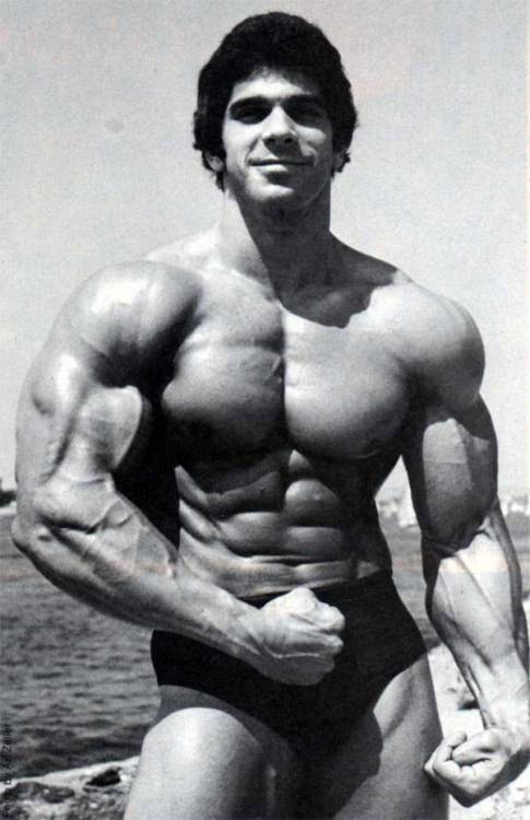 mitos:  Lou Ferrigno (1977) 