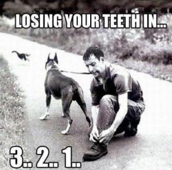 Dentista llenándose el bolsillo en 3..2..1..