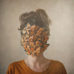 xeroist:  Orange, or the return of the lady with the butterflies