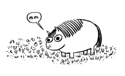 beatonna:  A wee pony update!  Fat lil’ guy.  Click click!