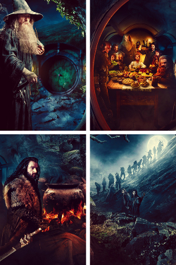 poedamnerons-deactivated2016052:  The Hobbit: An Unexpected Journey