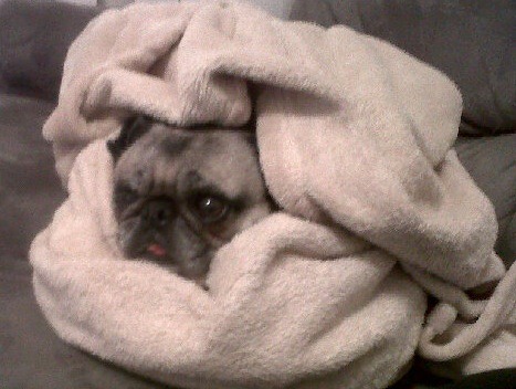 Sleeping in my bed