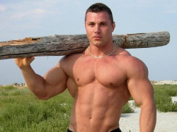 musclepla-net:  worshipalphamales:  muscleworshipper08:  I would
