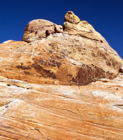 Look closely…. photo by Manny Lemus, Valley of Fire, Nevada