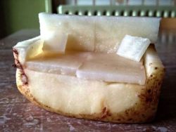 mustardbloodedasshole:  absolutelymadness:  Couch potato  get