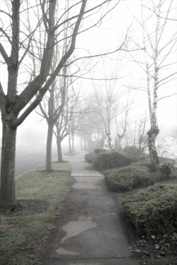 mer-de:  Foggy side walk 