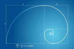 sciencesoup:  The Mathematics of Beauty The Fibonacci Sequence