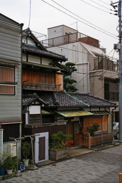isaykonnichiwa:  by RayKippig 