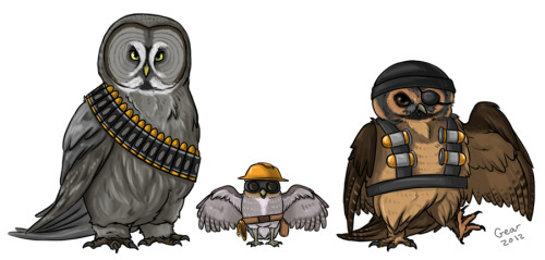 lithefider:  owlymedics:  gearbutt:  Owl Fortress 2  YES. YESYESYESYESYESYESYES!  This is highly relevant to my interests  Abubububu! These are a hoot.