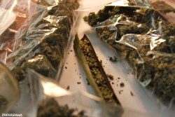 weedmygolden.tumblr.com/post/29341325424/