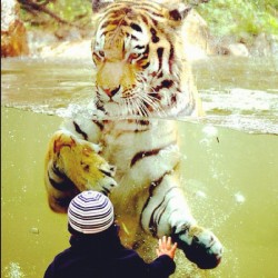 That glass is saving your ass little boy! #animals #zoo #DopePicture