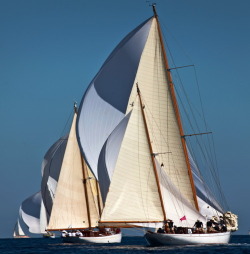 Mountains of sail just to plow along at 6 knots. Â Still, it&rsquo;s majestic.