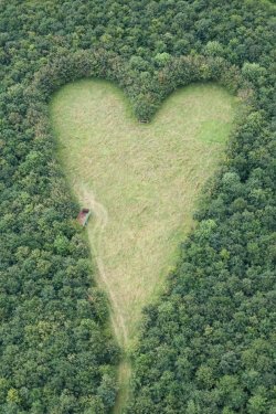  A heart-shaped meadow, created by a farmer as a tribute to his