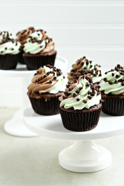 gastrogirl:  mint chocolate chip cupcakes. 