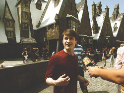 radar-s:  radar-s:  A vintage Daniel Radcliffe post. My life