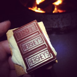 backroomromp:  S’mores time bitches. #smores #campfire #hersheys