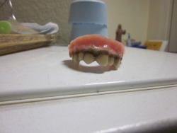 jacknapi3r:  Dentures I sculpted and stained 