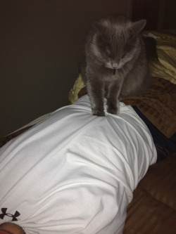 getoutoftherecat:  get off me cat. you are not a massage therapist.