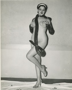 burlyqnell:    Vintage 40&rsquo;s-era press photo of Zorita wearing one of her Indigo Snakes… and little else!  