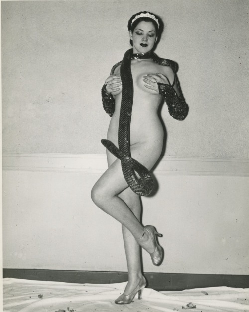 burlyqnell:    Vintage 40’s-era press photo of Zorita wearing one of her Indigo Snakes… and little else!  