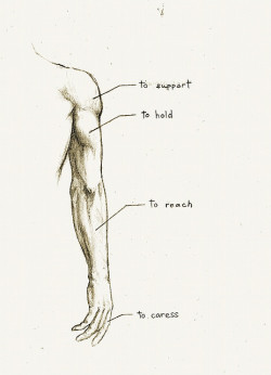 reclaimedprincedom:  Anatomy of a Daddy 