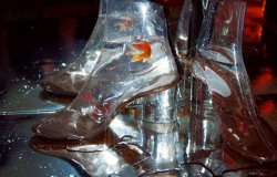 stopdropandvogue:  Margiela Aquarium: clear booties that second