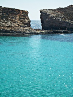 travelingcolors:  The clear blue waters of the Blue Lagoon in