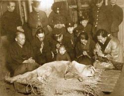 tomasoski:  Imagen real del funeral de HACHIKO que murió en