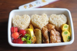 impeccable-kev:  idumi:  Teriyaki chicken bento  I need a person