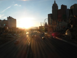 casualcheeksex:  Las Vegas 2011