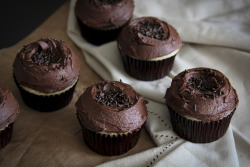 gastrogirl:  vanilla bean cupcakes with cocoa buttercream frosting.