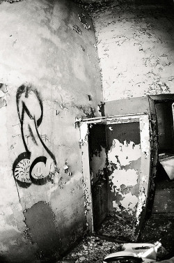PLEASE FOLLOW MY NEW BLOG - JACKMANCINI.TUMBLR.COM