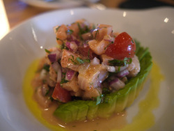 f-word:  salmon ceviche with avocado photo by lainers 